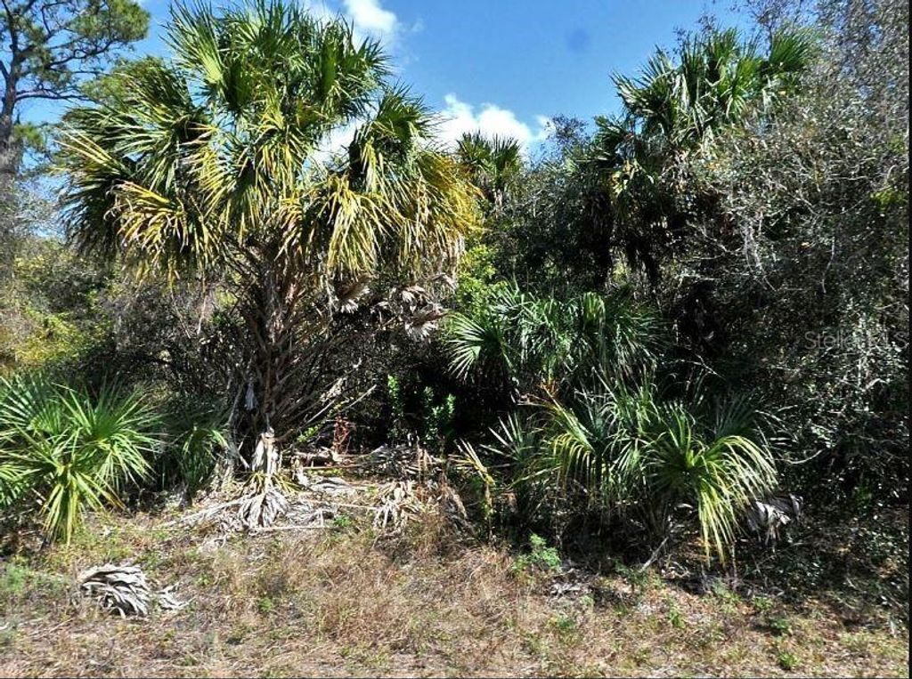 Photo of Norton Drive, North Port, FL 34288 (MLS # O6184328)