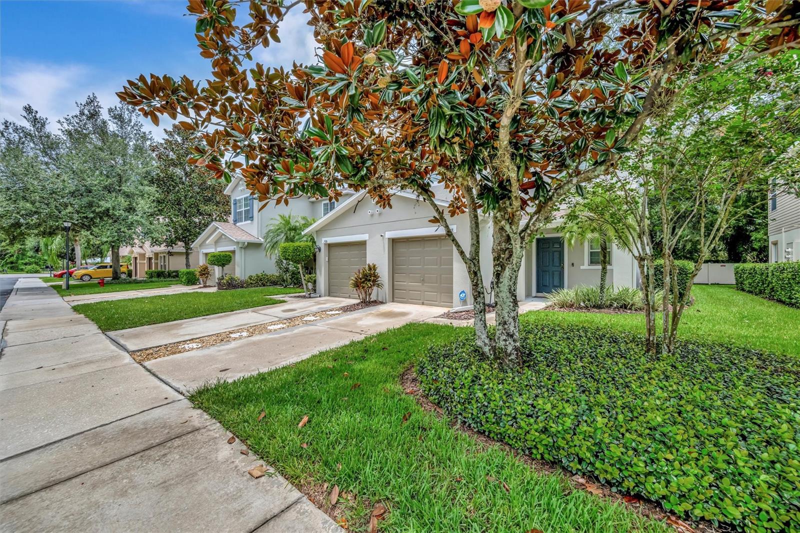 WEDGEWOOD TWNHMS - Residential