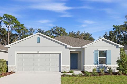 Photo of 13514 Tropical Breeze Way, Hudson, FL 34669 (MLS # TB8437937)
