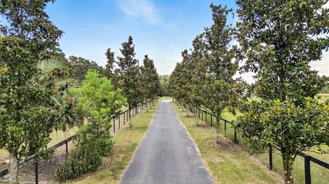 Tiny photo for 1960 SE 150th Street, Summerfield, FL 34491 (MLS # OM706652)