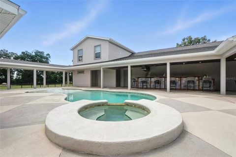 Tiny photo for 1960 SE 150th Street, Summerfield, FL 34491 (MLS # OM706652)