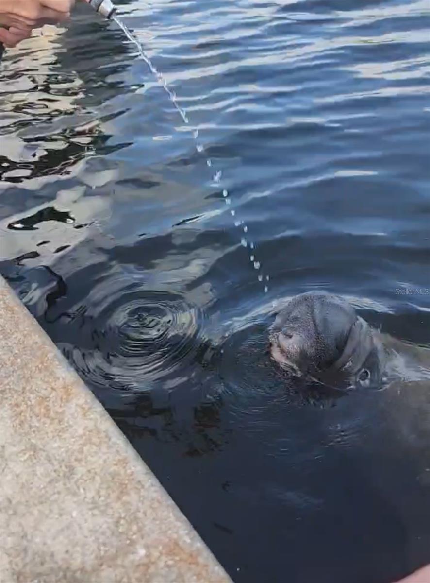 OXFORD MANOR 3RD ADD - Residential Lease