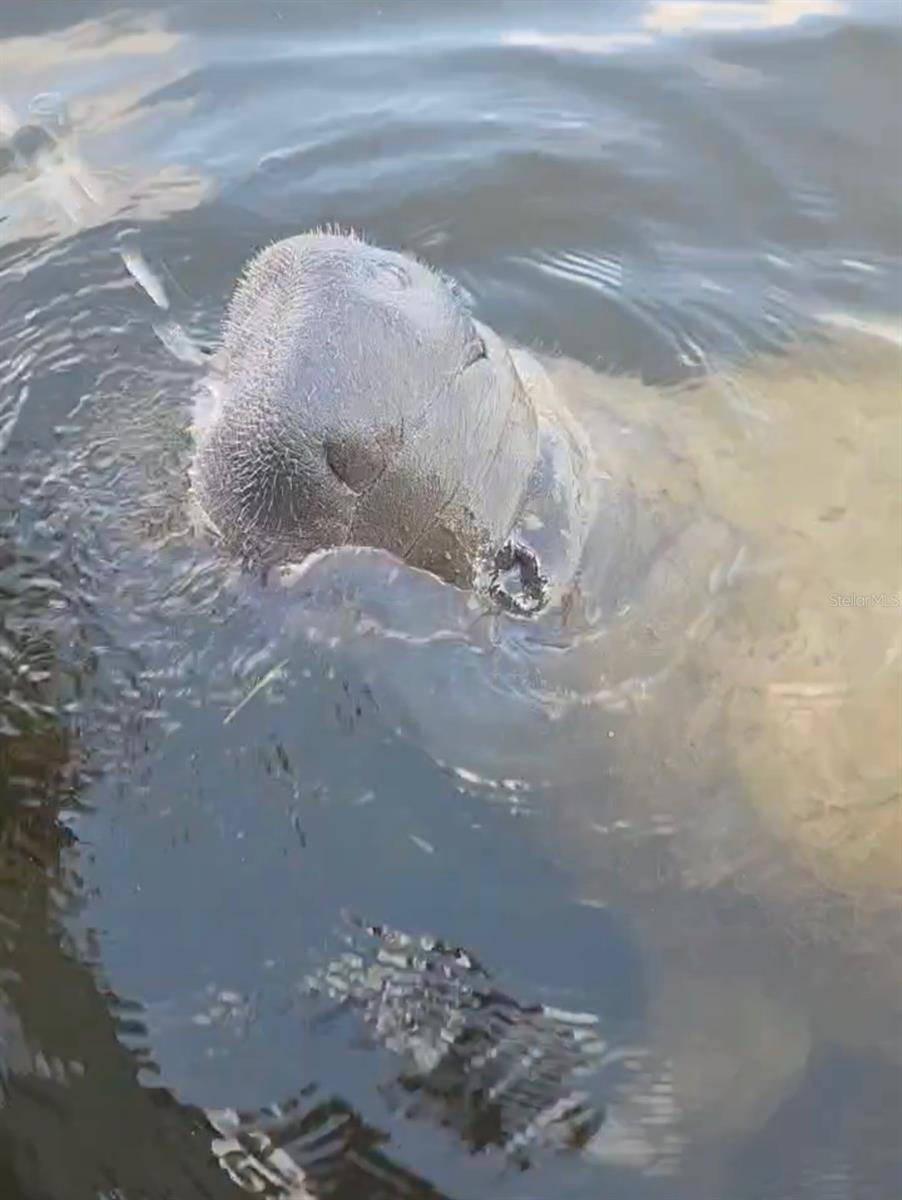 OXFORD MANOR 3RD ADD - Residential Lease