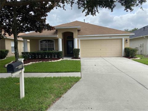 616 STRAW LAKE DRIVE BRANDON FL 33510