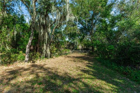 A home in DELTONA