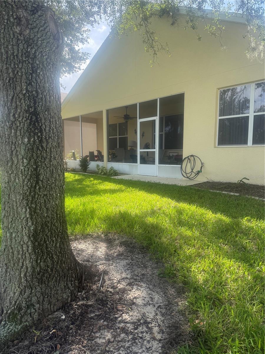 803 WOLF CREEK STREET