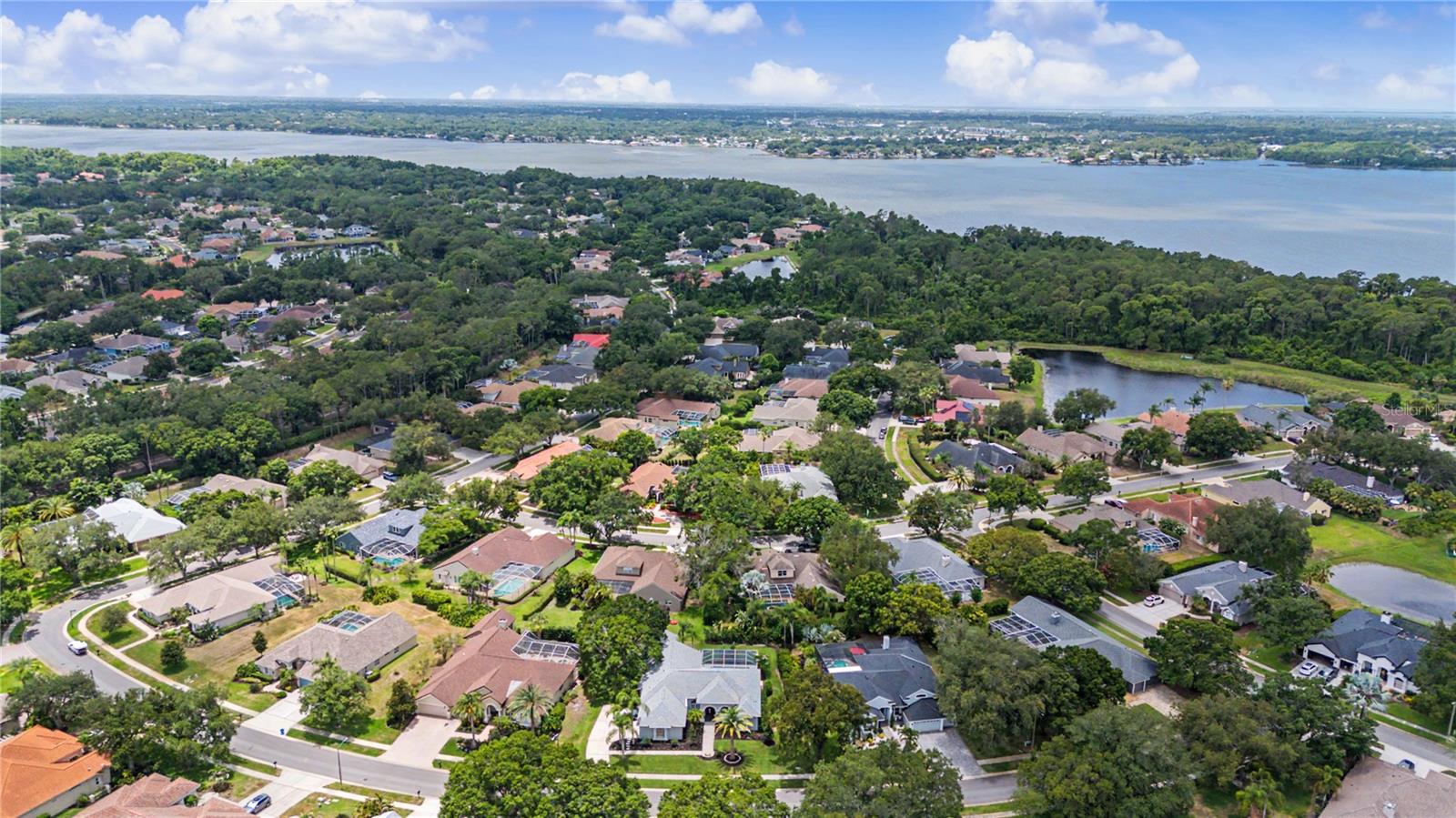 3692 Johnathon Ave, Palm Harbor, FL, 34685, USA, 5 Bedrooms Bedrooms, ,3 BathroomsBathrooms,Residential,Active,3692 Johnathon Ave,TB8520892