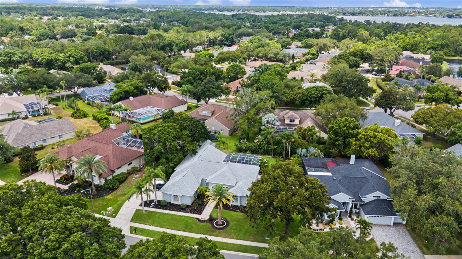 3692 Johnathon Ave, Palm Harbor, FL, 34685, USA, 5 Bedrooms Bedrooms, ,3 BathroomsBathrooms,Residential,Active,3692 Johnathon Ave,TB8520892