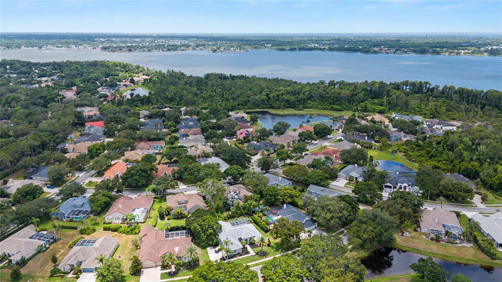 3692 Johnathon Ave, Palm Harbor, FL, 34685, USA, 5 Bedrooms Bedrooms, ,3 BathroomsBathrooms,Residential,Active,3692 Johnathon Ave,TB8520892