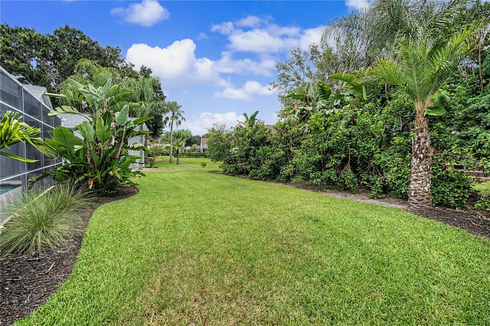 3692 Johnathon Ave, Palm Harbor, FL, 34685, USA, 5 Bedrooms Bedrooms, ,3 BathroomsBathrooms,Residential,Active,3692 Johnathon Ave,TB8520892