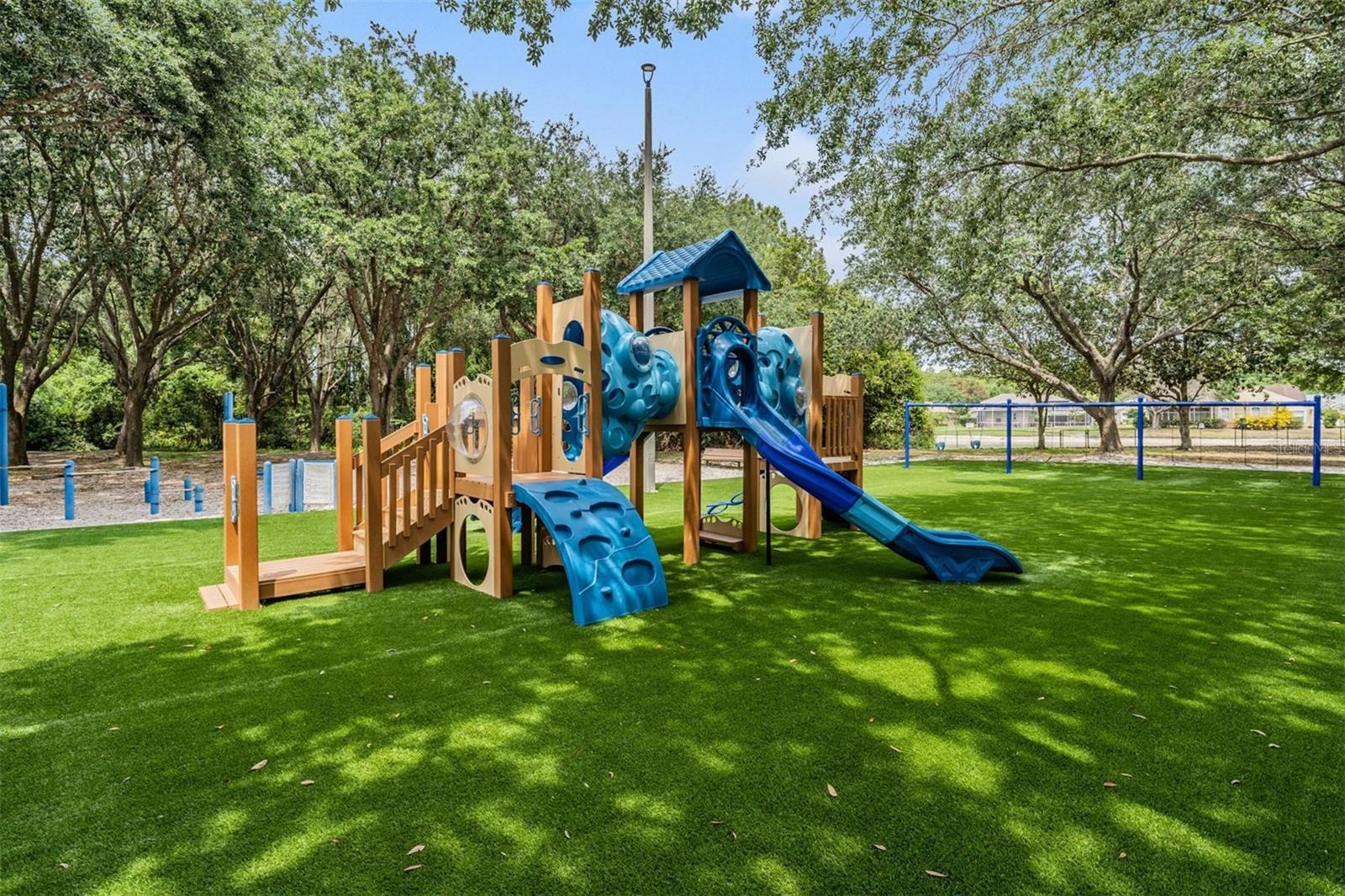 3692 Johnathon Ave, Palm Harbor, FL, 34685, USA, 5 Bedrooms Bedrooms, ,3 BathroomsBathrooms,Residential,Active,3692 Johnathon Ave,TB8520892