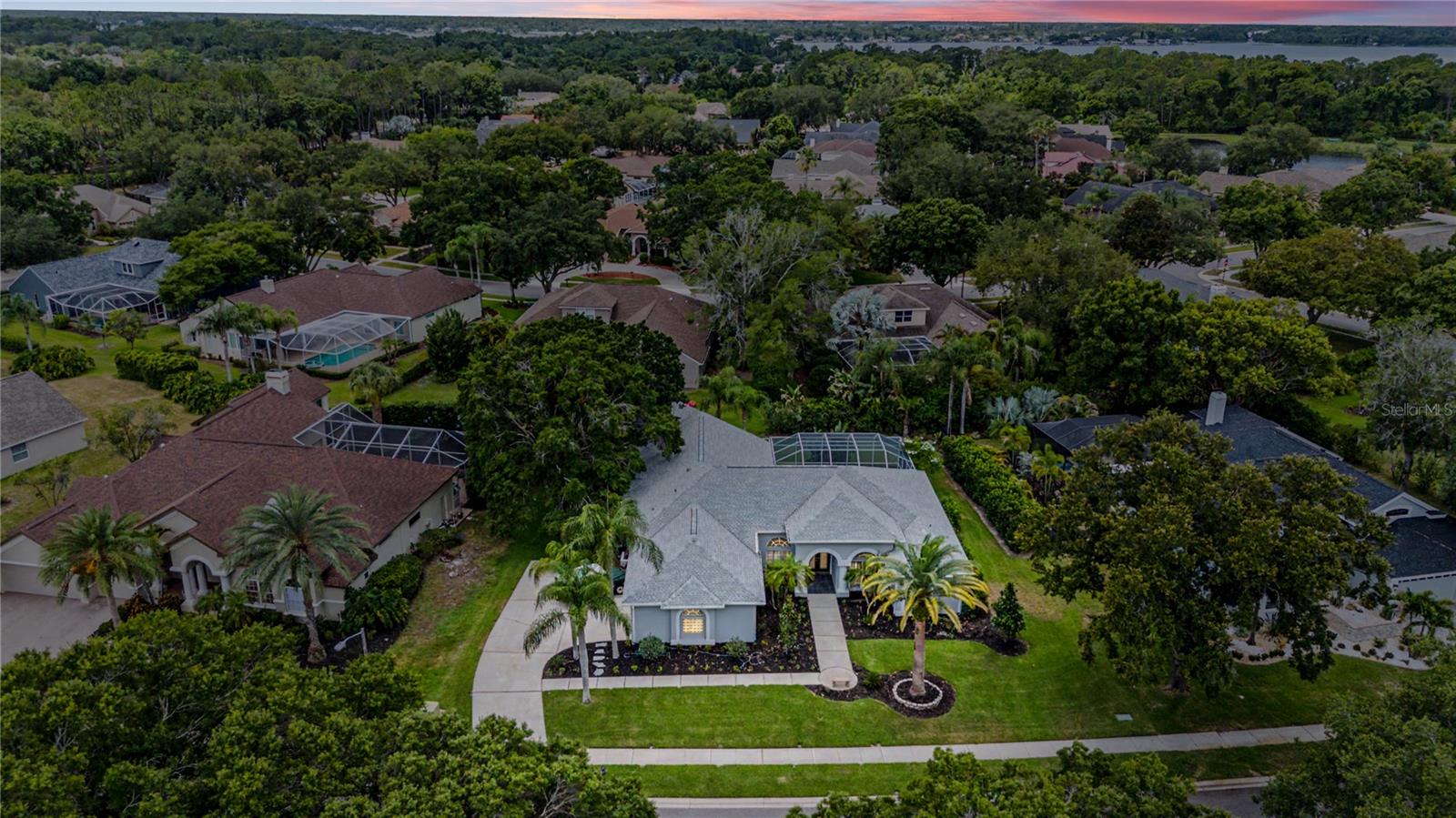 3692 Johnathon Ave, Palm Harbor, FL, 34685, USA, 5 Bedrooms Bedrooms, ,3 BathroomsBathrooms,Residential,Active,3692 Johnathon Ave,TB8520892