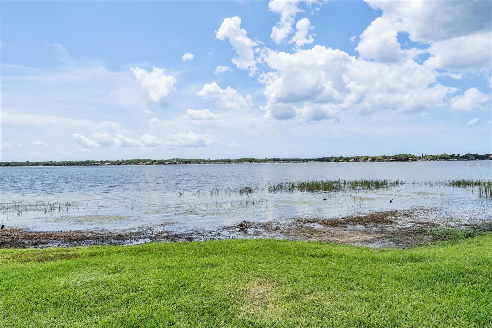 3692 Johnathon Ave, Palm Harbor, FL, 34685, USA, 5 Bedrooms Bedrooms, ,3 BathroomsBathrooms,Residential,Active,3692 Johnathon Ave,TB8520892