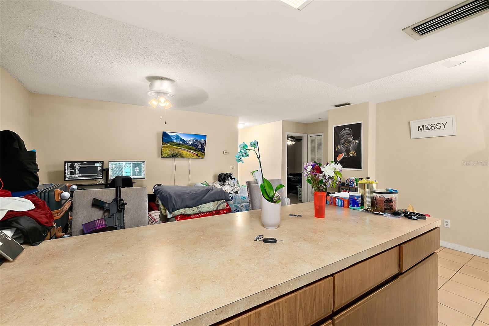 PALM COAST SEC 14 - Residential Income