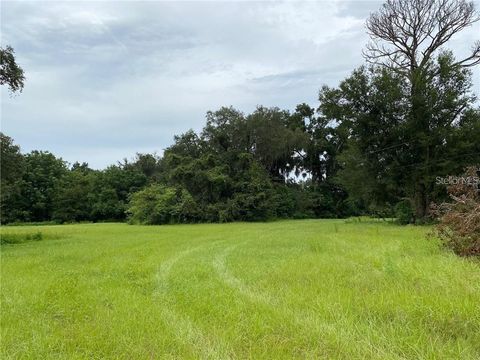 Tiny photo for 9401 NE 41st Court, Anthony, FL 32617 (MLS # O6398703)