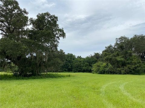 Tiny photo for 9401 NE 41st Court, Anthony, FL 32617 (MLS # O6398703)