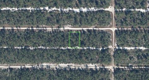 613 PARAKEET AVENUE SEBRING FL 33872