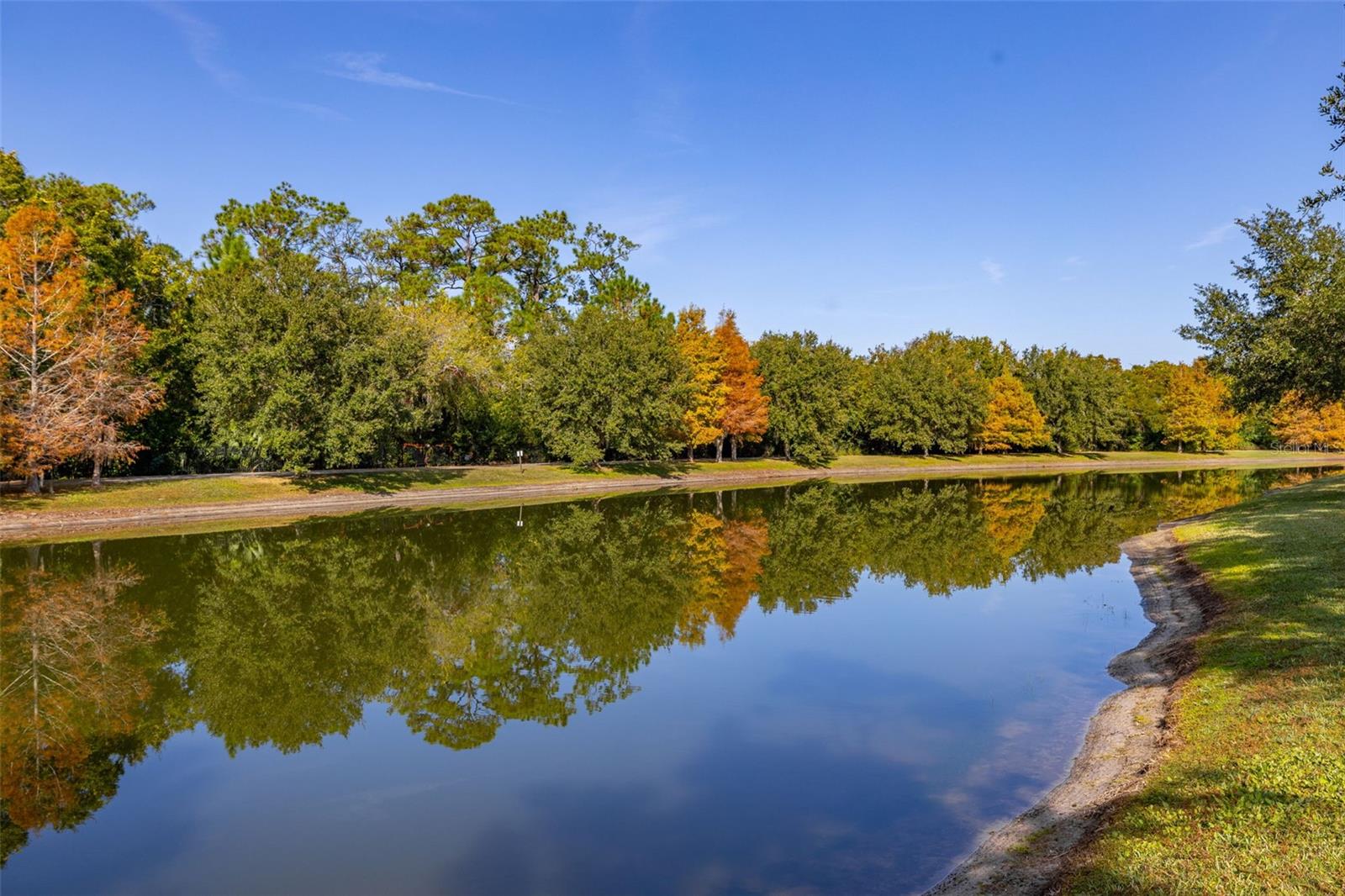 CARRINGTON - Residential