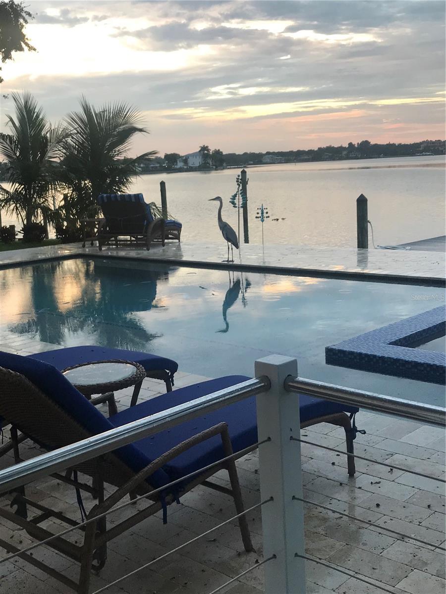 INDIAN ROCKS BEACH RE-REVISED 6TH ADD LOTS 19&20 - Residential