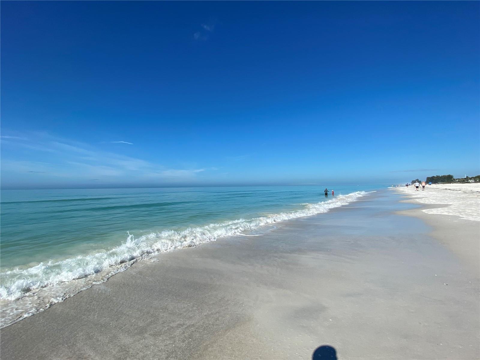 LAS PALMAS OF SARASOTA - Residential Lease