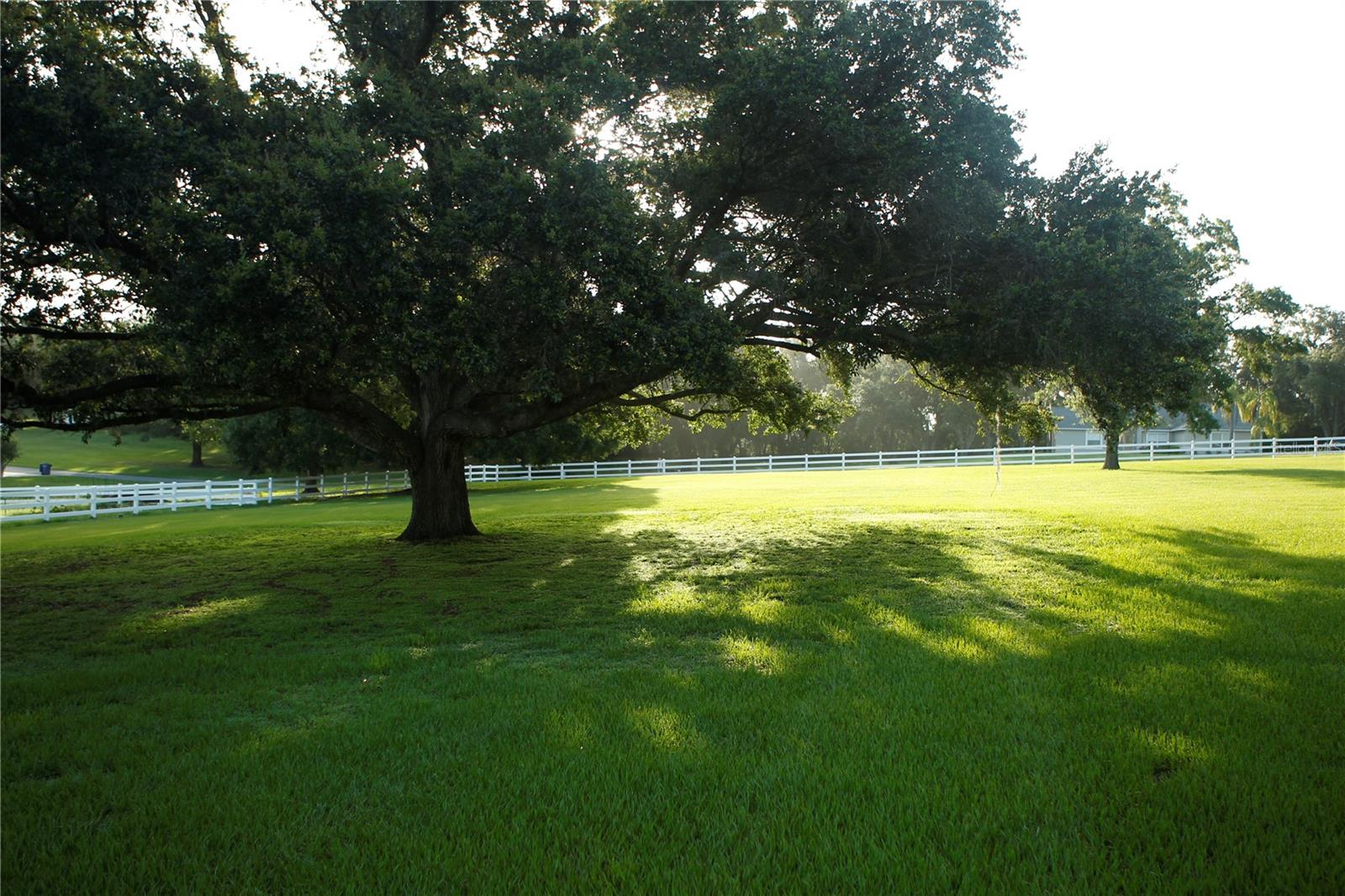 2.25 Acres | Fully Fenced | High & Dry | Gated Community | Last Lot in the Subdivision // Discover the perfect canvas for your dream home on this fully fenced, 2.25-acre high and dry lot, nestled in a private gated community. Surrounded by rolling hills and mature trees, this picturesque property offers both privacy and natural beauty. As the last available lot in the subdivision, it presents a rare opportunity to join an exclusive community of just 33 homes. The neighborhood features a low HOA, no CDD fees, and allows for site-built homes with a minimum of 2,500 square feet. Horses and cattle—no more than two total—are permitted, offering the freedom to enjoy a rural lifestyle with modern conveniences. Whether you're planning to build a custom estate or a peaceful retreat, this prime homesite is ready for your vision.
Please note: the fence along the south side of the property extends beyond the property line and is located on the neighboring parcel.