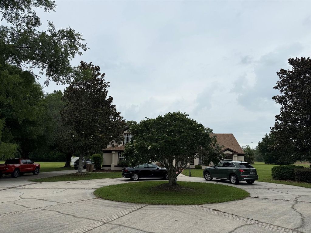Photo of 31405 Bear Pond Drive, Sorrento, FL 32776 (MLS # O6410942)