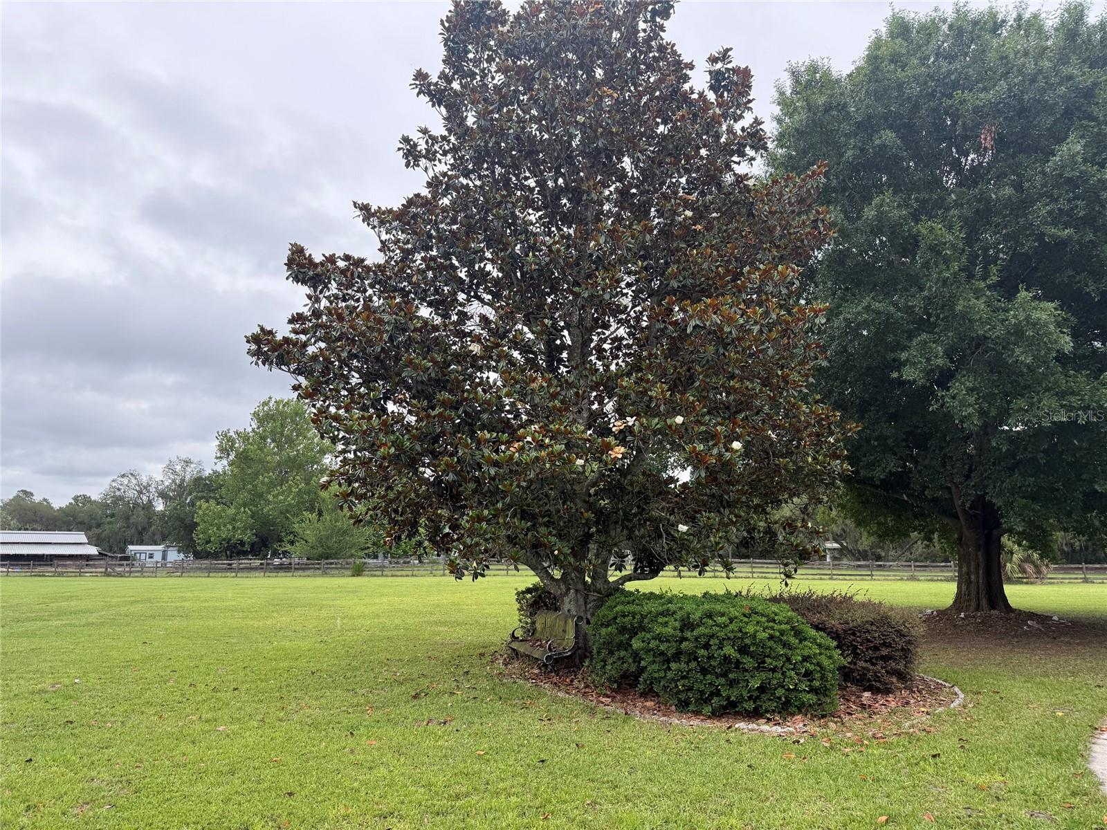 WEKIVA ESTATES RUN - Residential