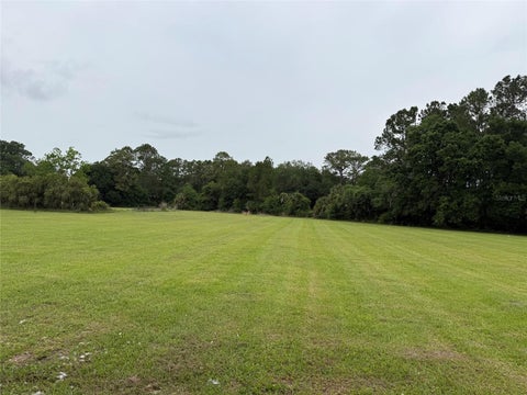 Tiny photo for 31405 Bear Pond Drive, Sorrento, FL 32776 (MLS # O6410942)