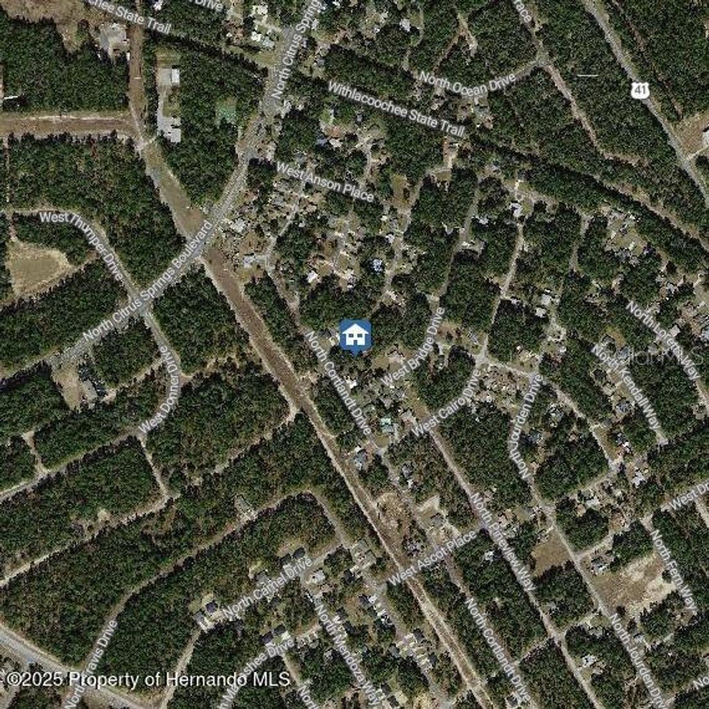 Photo of 9996 N Sandree Drive, Citrus Springs, FL 34434 (MLS # W7878971)