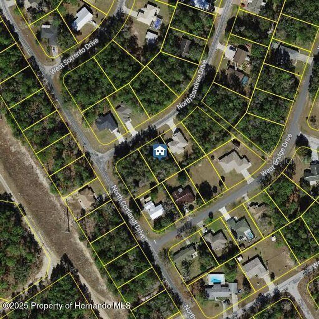 Photo of 9996 N Sandree Drive, Citrus Springs, FL 34434 (MLS # W7878971)