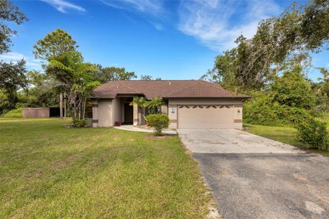Photo of 3305 Long Rifle Drive, Wimauma, FL 33598 (MLS # A4661213)