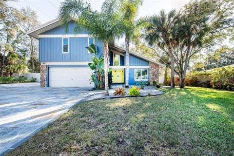 1599 BRAE MOOR LANE DUNEDIN FL 34698
