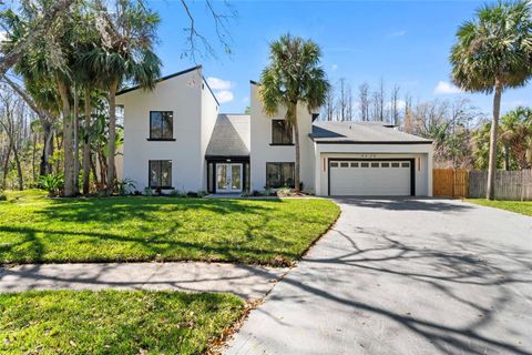 4520 PINE HOLLOW DRIVE TAMPA FL 33624