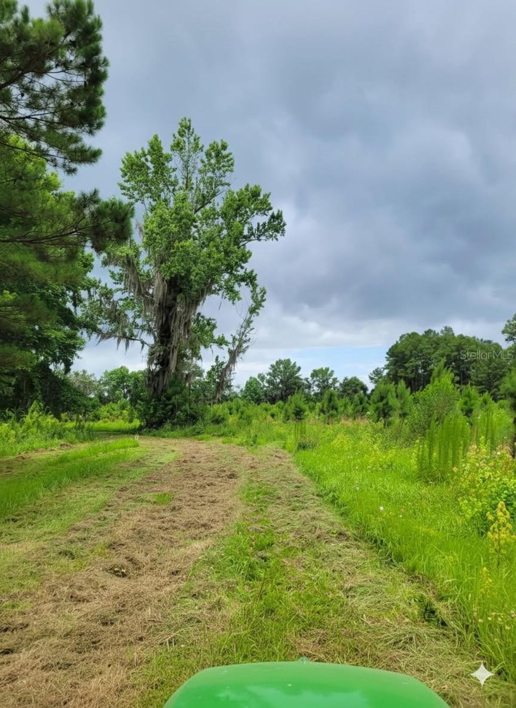 Photo of 19788 NW 91st Street, Alachua, FL 32615 (MLS # GC537074)