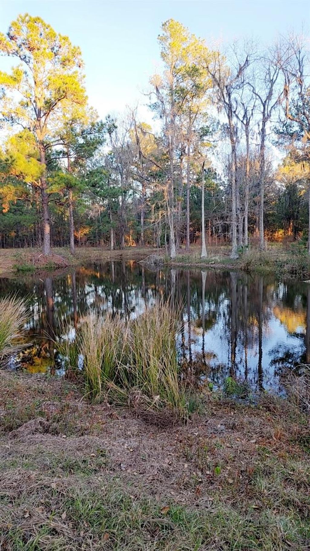 Photo of 19788 NW 91st Street, Alachua, FL 32615 (MLS # GC537074)