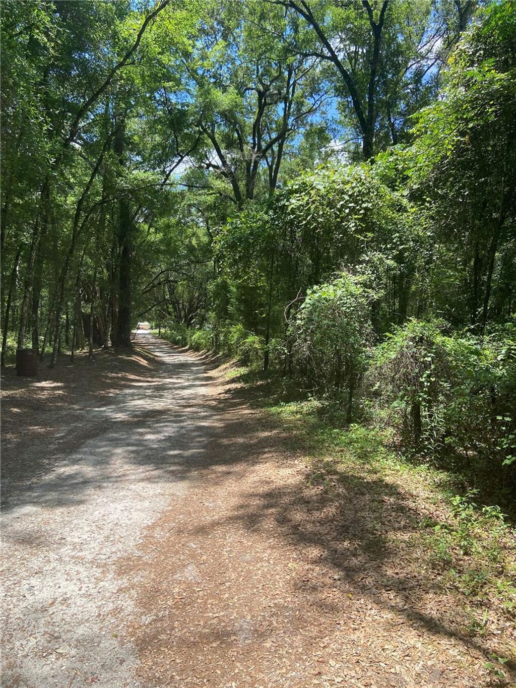 Photo of NE 166th Avenue, Williston, FL 32696 (MLS # TB8400682)