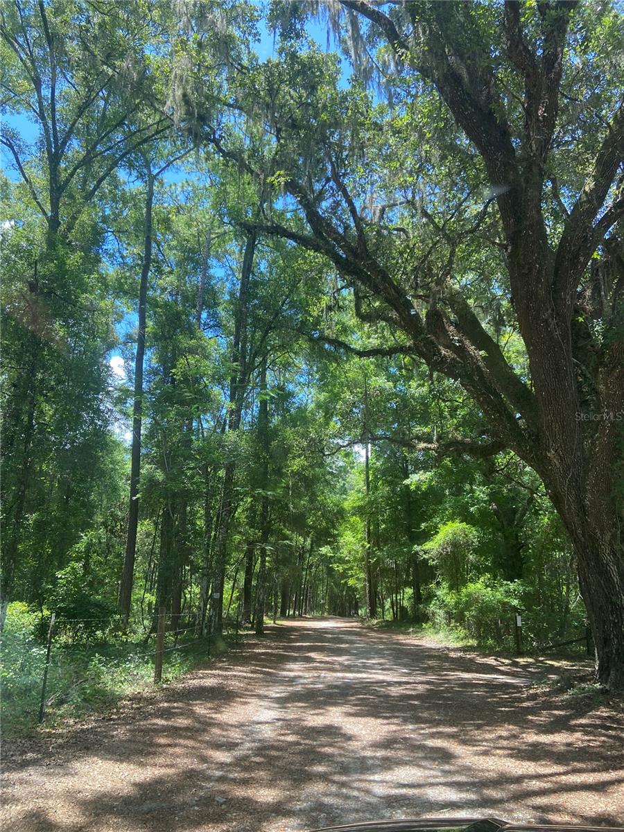 Back on The Market. Based on the response before contract, this 6.37 acres of high and dry (Flood Zone X) unimproved land on a short tree covered road (more like a lane) waiting for another custom home, manufactured home, mobile home, get-away cottage or buy as an investment for a long-term gain owner won't last long. No timetable to build and you can bring your own builder. No HOA or CDD's. This wooded property has a natural and private appeal that is breathtaking as you drive onto 166th Avenue. Serene. You would clear what you need to develop. RV's, boats, and domesticated animals are welcome. Only about 40 minutes from Gainesville and about 30 minutes from Ocala; Cedar Key, World Equestrian Center, Goethe State Forest, Rainbow Springs State Park, The Withlacoochee and Rainbow Rivers. Outstanding opportunity to own a piece of The Sunshine State!!!