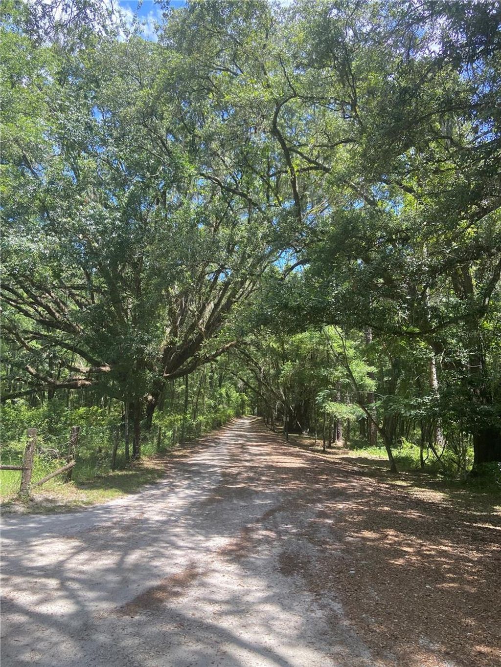 Photo of NE 166th Avenue, Williston, FL 32696 (MLS # TB8400682)
