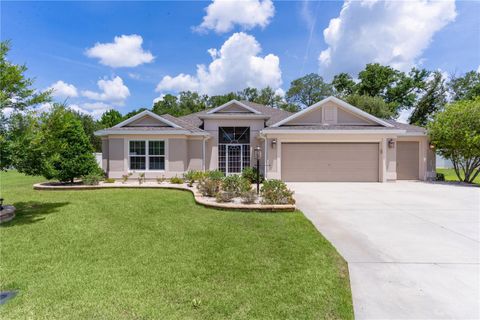 2954 HEINY PLACE THE VILLAGES FL 32163