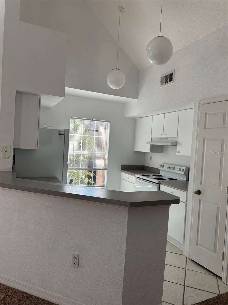 LAKE CHASE CONDO - Residential