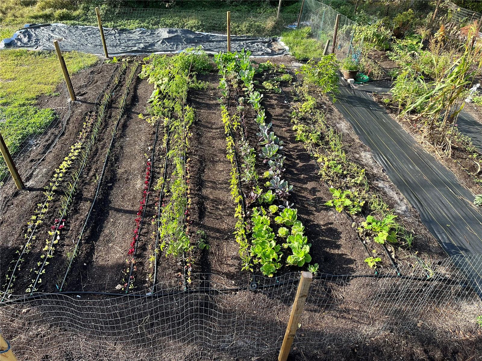 MYAKKA VALLEY RANCHES - Residential