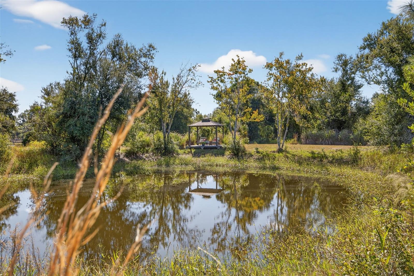 MYAKKA VALLEY RANCHES - Residential