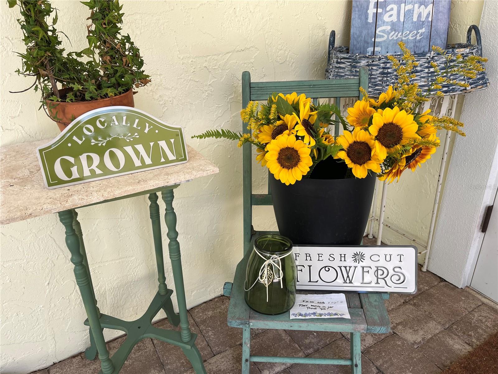 MYAKKA VALLEY RANCHES - Residential