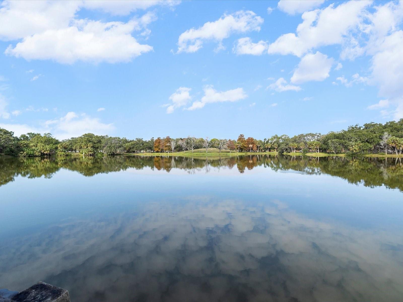 COUNTRY ESTATES - Residential