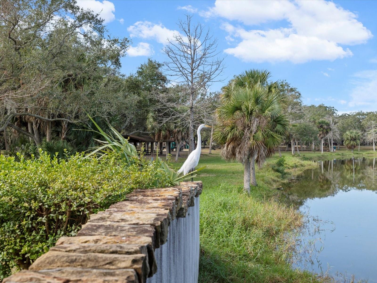 COUNTRY ESTATES - Residential