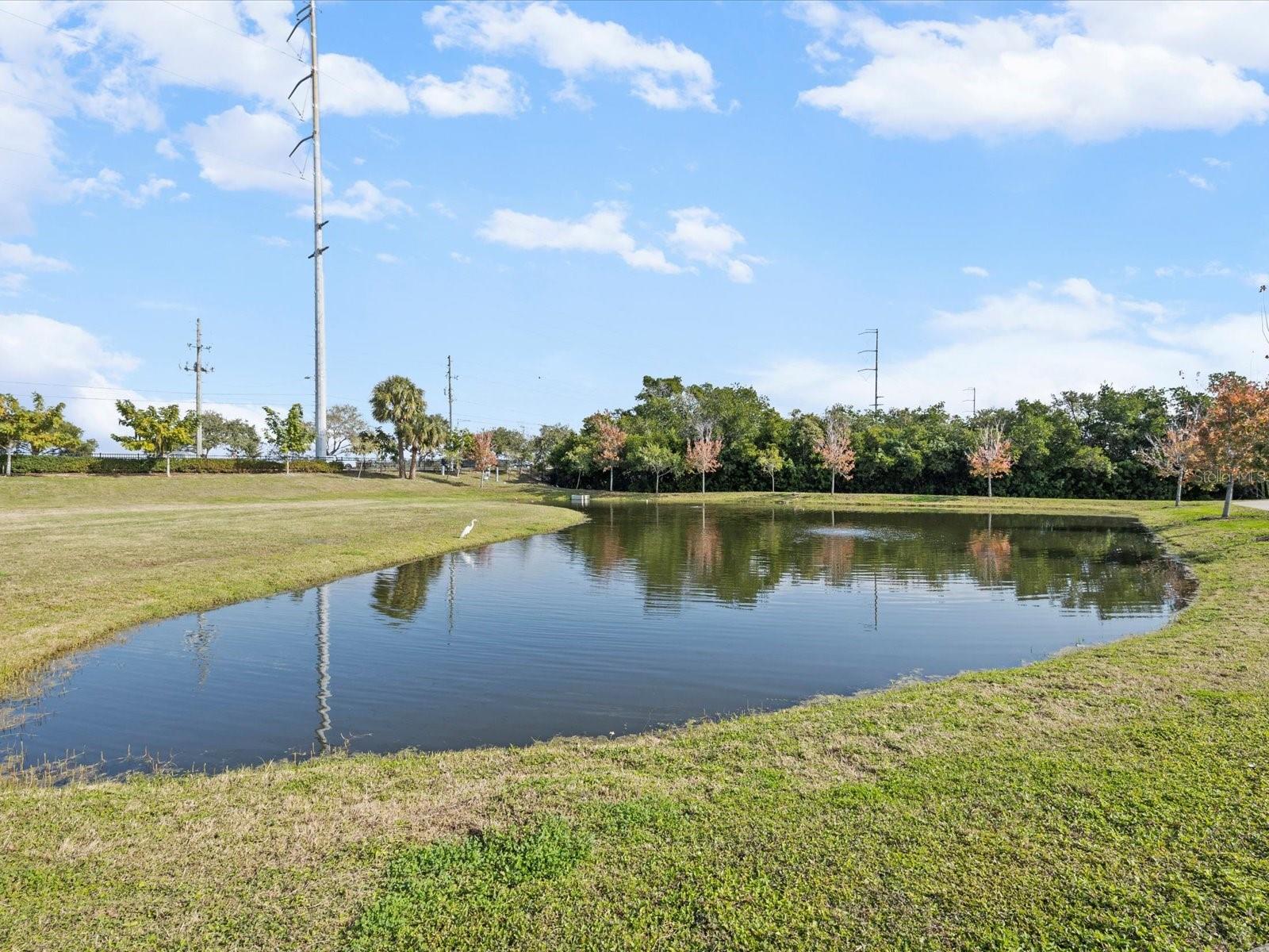 COUNTRY ESTATES - Residential