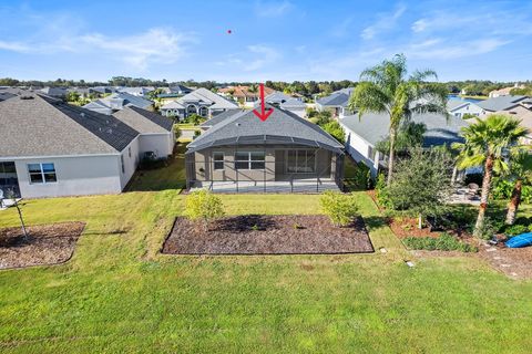 A home in MOUNT DORA