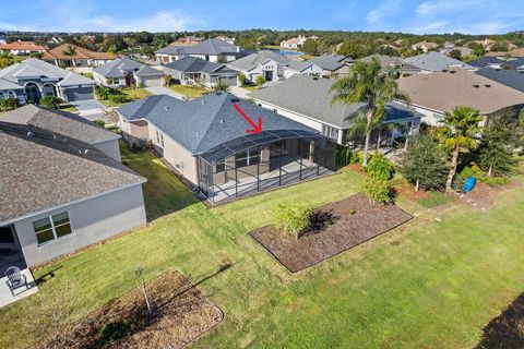 A home in MOUNT DORA