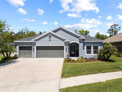 3159 MARISA PLACE HOLIDAY FL 34691