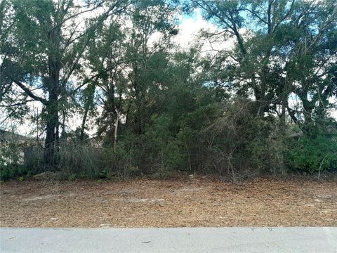 00 SW 28 TERRACE ROAD OCALA FL 34473